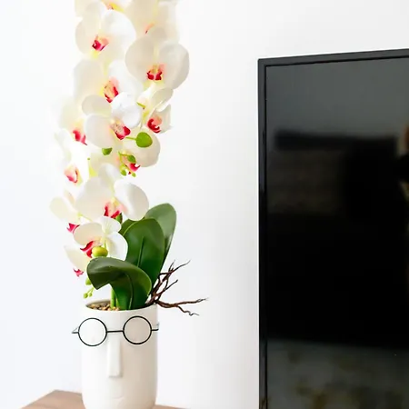 Yamaluxe Cozy 911 Apartment Bucharest